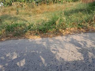 Đất thanh nhung 2, phước trung, gò công đông, tiền giang. 7,5x36m 122m2 thổ, đường xe 7chỗ 380tr tl