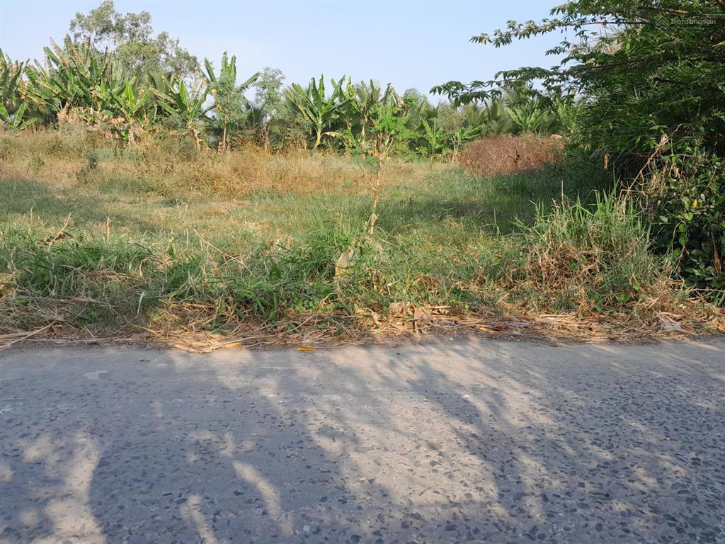 Đất thanh nhung 2, phước trung, gò công đông, tiền giang. 7,5x36m 122m2 thổ, đường xe 7chỗ 380tr tl