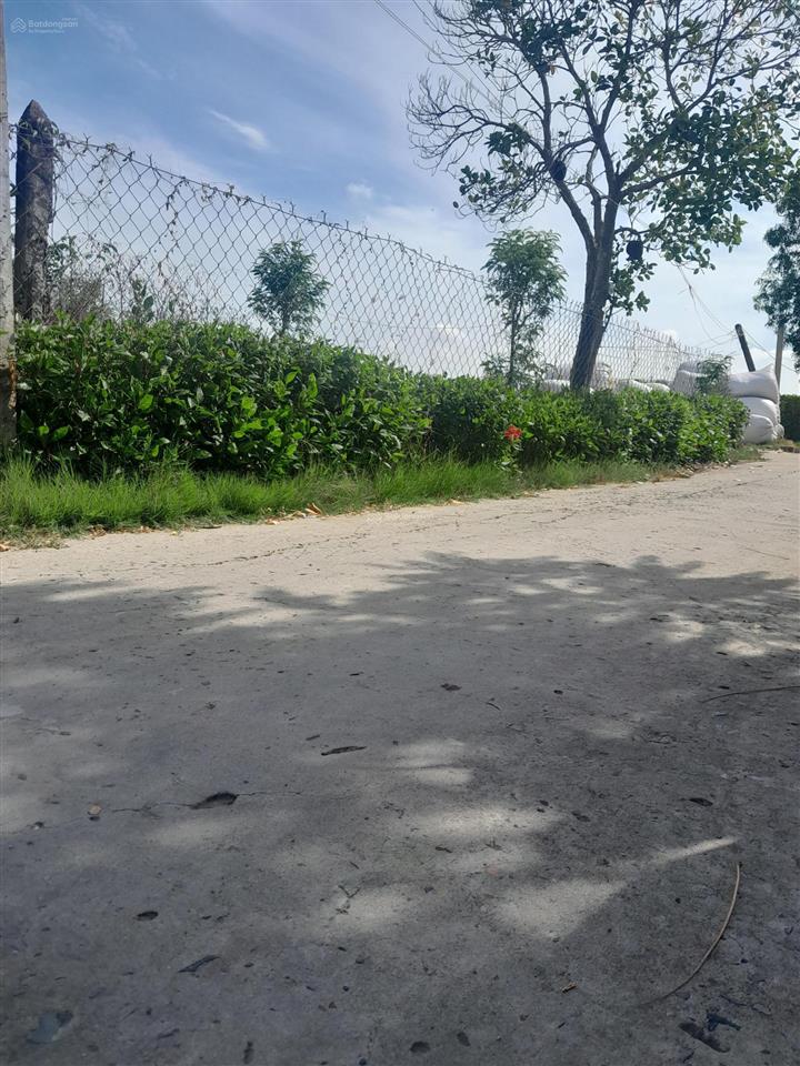 Đất đẹp giá rẻ tại gò công đông tiền giang, 485m2(16.5m x 27,5m) nở hậu 18.8m, có sổ, 500tr