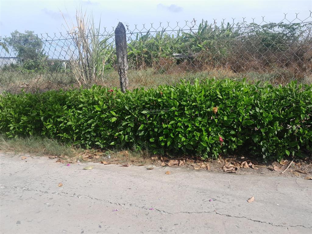 Đất đẹp giá rẻ tại gò công đông tiền giang, 485m2(16.5m x 27,5m) nở hậu 18.8m, có sổ, 500tr