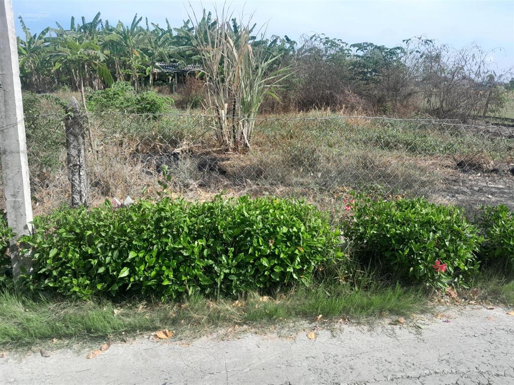 Đất đẹp giá rẻ tại gò công đông tiền giang, 485m2(16.5m x 27,5m) nở hậu 18.8m, có sổ, 500tr