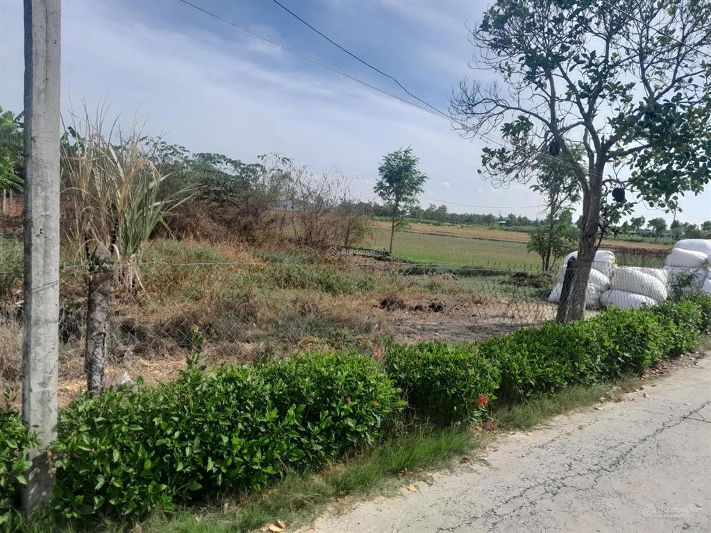 Đất đẹp giá rẻ tại gò công đông tiền giang, 485m2(16.5m x 27,5m) nở hậu 18.8m, có sổ, 500tr