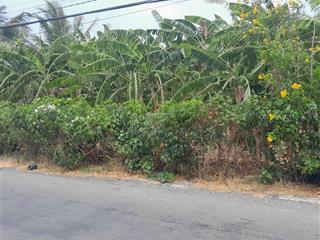 Đất góc 2 mặt tiền đường nhựa tại bình tân, gò công tây, giáp tp gò công. dt 1.400m2 giá 2,65tỷ bớt