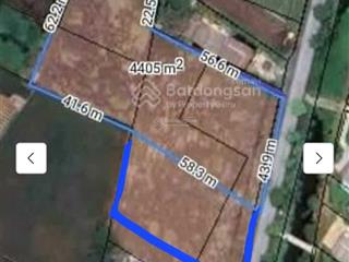 Bán đất 4.000m2 tại thị xã gò công, hợp làm kho xưởng bãi vựa, mặt tiền đường 873b nhựa, 3,5tr/m2