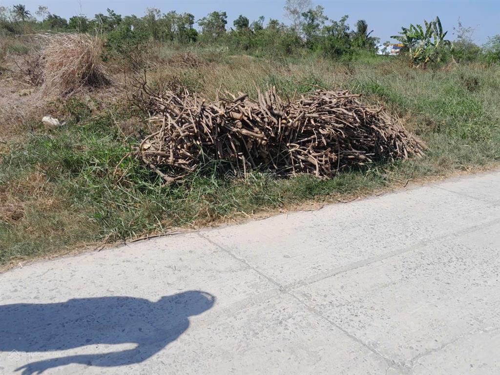 Đất nền sẵn 5.474m² (46,5m x 114,5m) tại gò công đông, tiền giang, đường rộng, 5,7 tỷ thương lượng