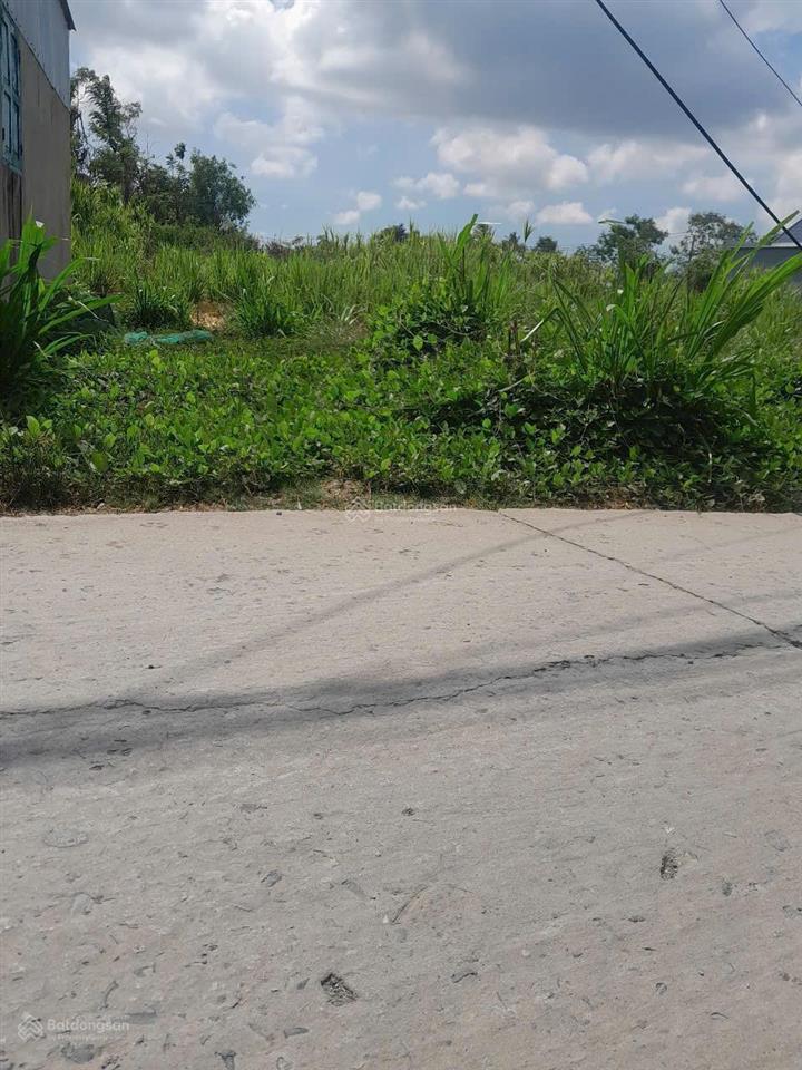 Đất đường đt873b gò công, tiền giang, 1.735m2 (24.5mx46m, hậu 45m), đan xe 7chỗ quay đầu, 1,9tỷ tl