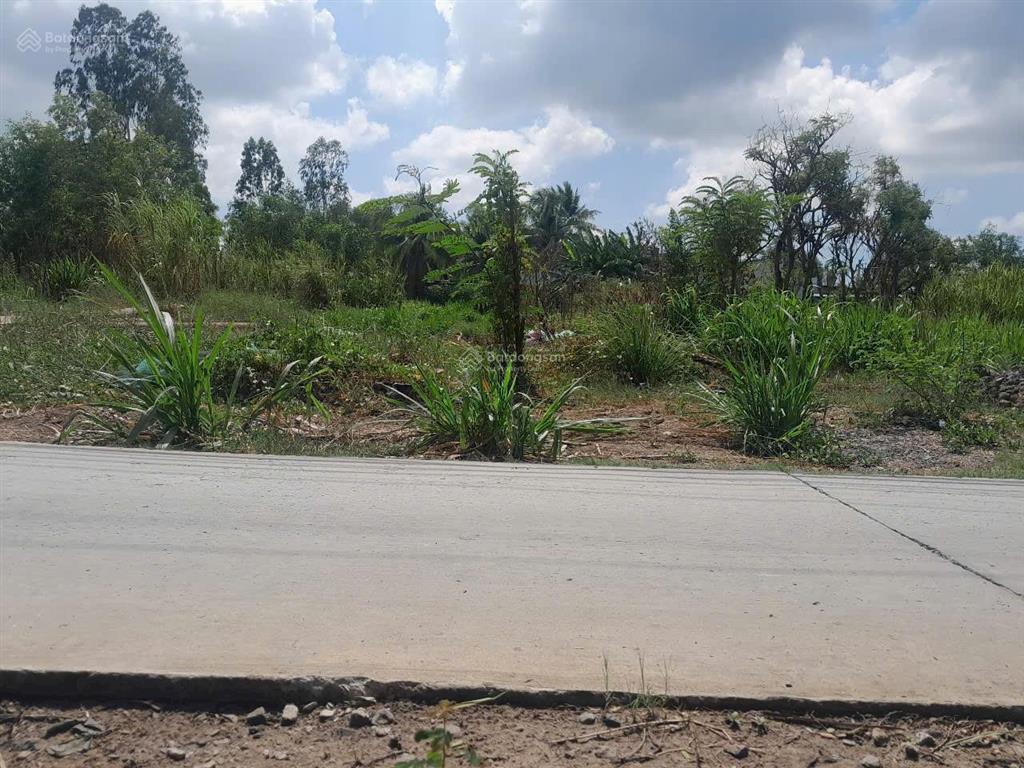 Đất đường đt873b gò công, tiền giang, 1.735m2 (24.5mx46m, hậu 45m), đan xe 7chỗ quay đầu, 1,9tỷ tl