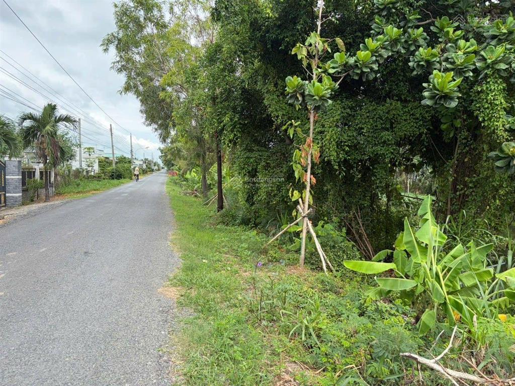 Đất 359m2(9mx48m) mặt tiền nhựa đt871c xã tân điền, gò công đông tiền giang,view kênh mát 1,4 tỷ tl
