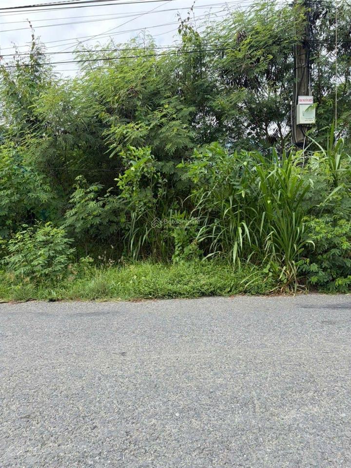 Đất 359m2(9mx48m) mặt tiền nhựa đt871c xã tân điền, gò công đông tiền giang,view kênh mát 1,4 tỷ tl