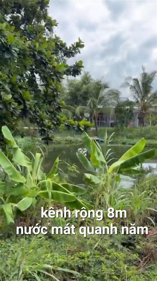 Đất 359m2(9mx48m) mặt tiền nhựa đt871c xã tân điền, gò công đông tiền giang,view kênh mát 1,4 tỷ tl