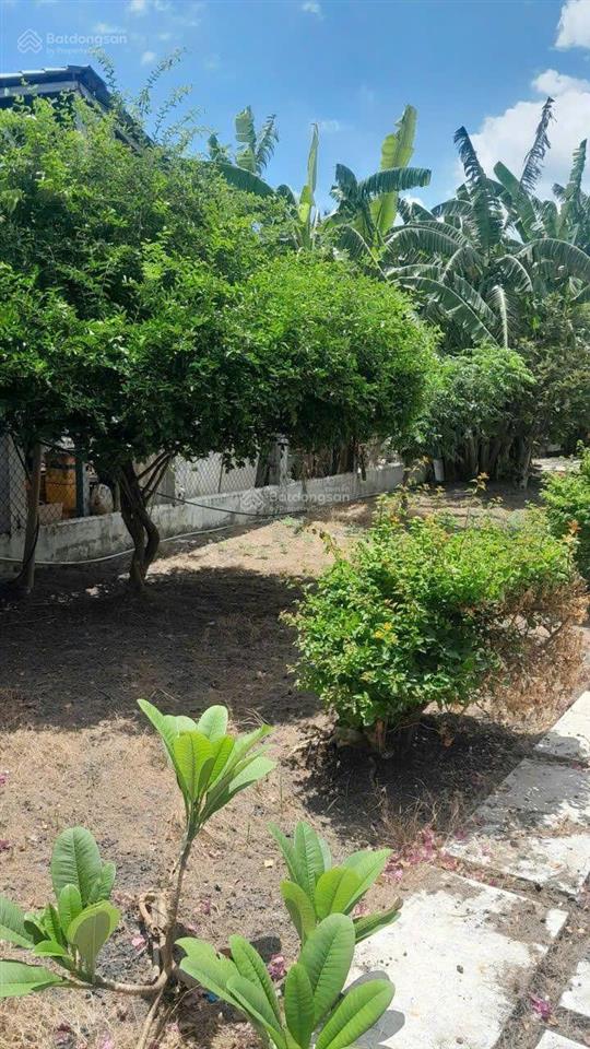 Đất đẹp làm nhà vườn nghỉ dưỡng tại mt đường nhựa xã tân lân, cần đước long an 1.156m2 5,5 tỷ tl