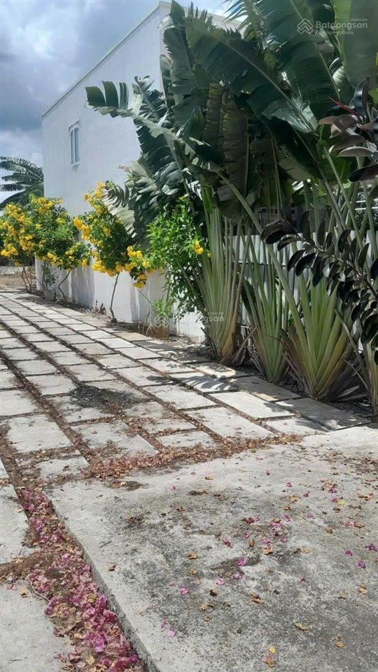 Đất đẹp làm nhà vườn nghỉ dưỡng tại mt đường nhựa xã tân lân, cần đước long an 1.156m2 5,5 tỷ tl