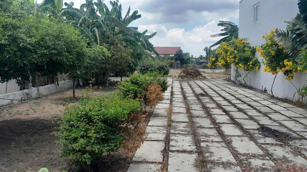 Đất đẹp làm nhà vườn nghỉ dưỡng tại mt đường nhựa xã tân lân, cần đước long an 1.156m2 5,5 tỷ tl