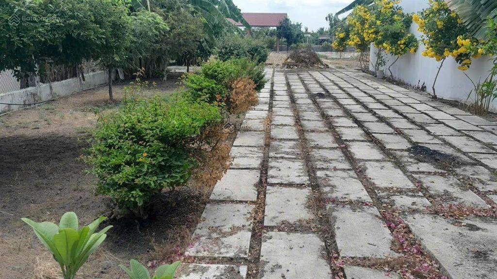 Đất đẹp làm nhà vườn nghỉ dưỡng tại mt đường nhựa xã tân lân, cần đước long an 1.156m2 5,5 tỷ tl