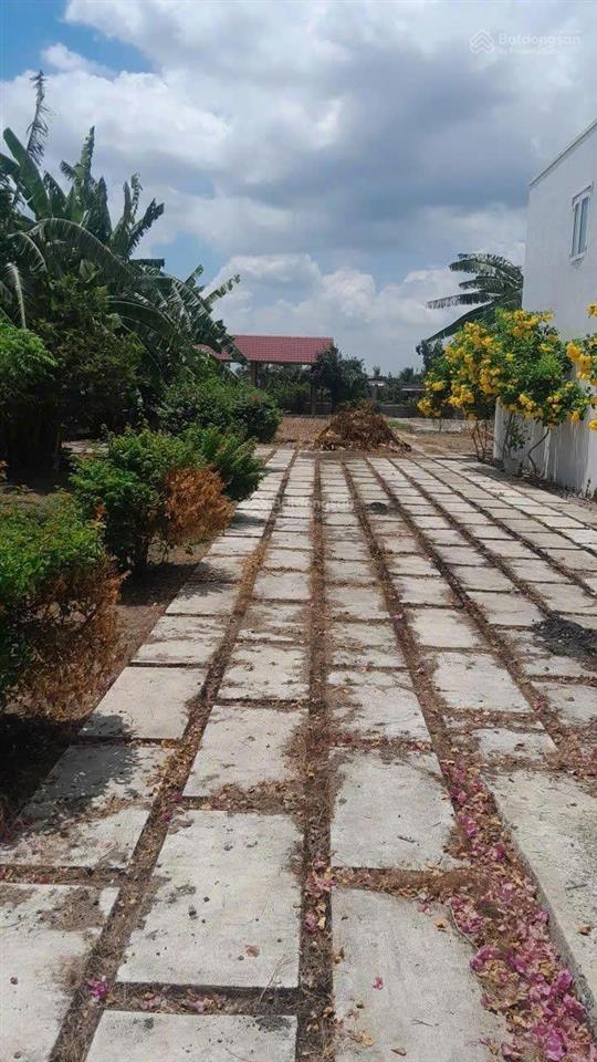 Đất đẹp làm nhà vườn nghỉ dưỡng tại mt đường nhựa xã tân lân, cần đước long an 1.156m2 5,5 tỷ tl