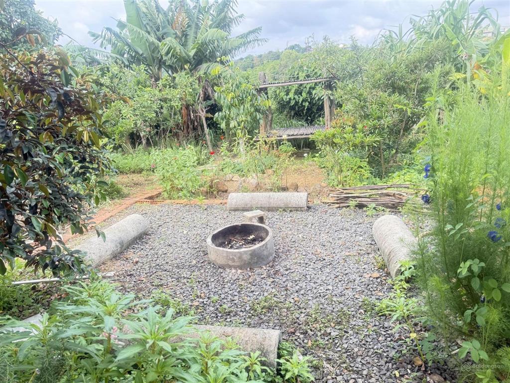 Cơ hội sở hữu bất động sản sức khỏe (wellness home) kề cận chùa phương liên đại ninh, lâm đồng
