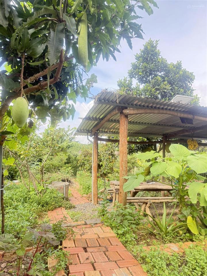 Cơ hội sở hữu bất động sản sức khỏe (wellness home) kề cận chùa phương liên đại ninh, lâm đồng
