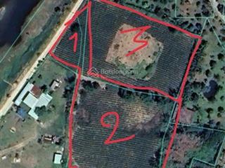 Bán 5,200m2 đất view sông cực đẹp hòa bắc, có đất ở , 3 sổ thích hợp làm farmstay nghỉ dưỡng, 8,7ty
