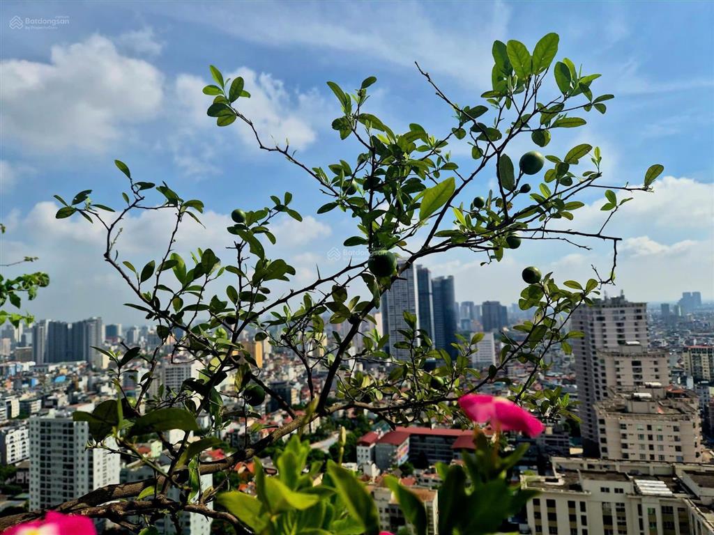Bán căn góc đẹp nhất tòa hà đô park view, view trọn công viên cầu giấy 123m2, giá 15,5 tỷ