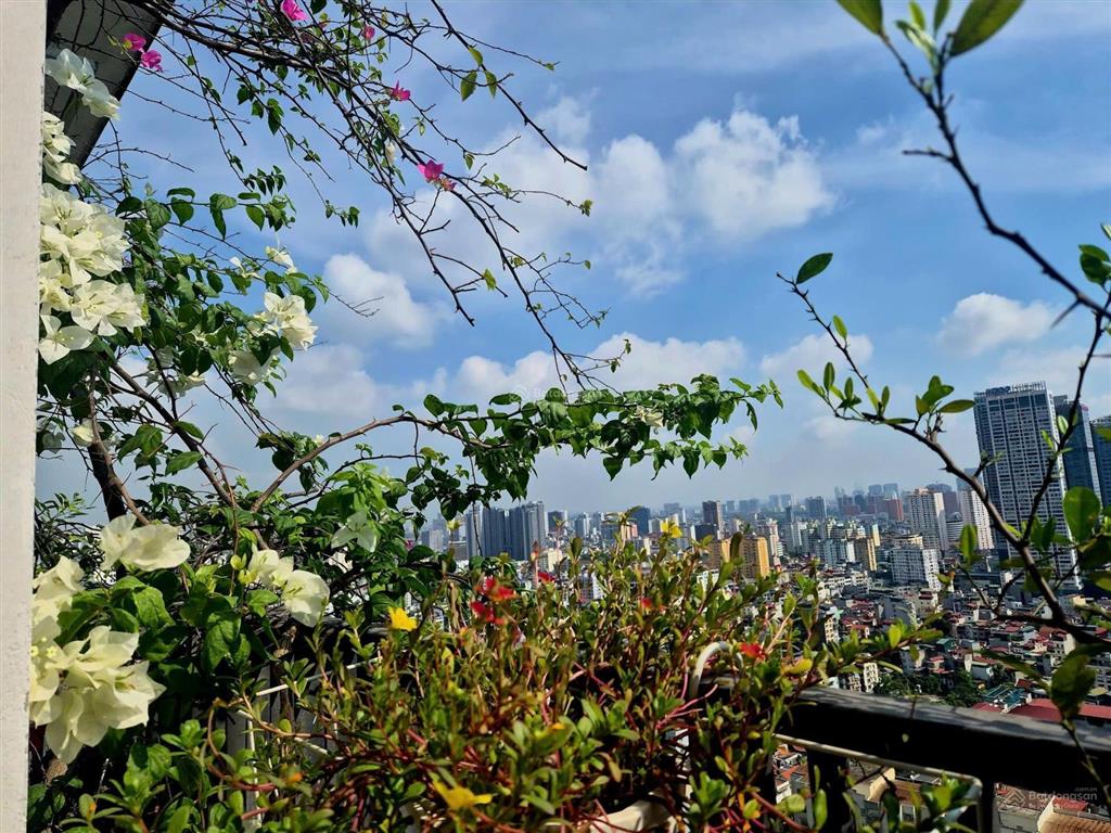 Bán căn góc đẹp nhất tòa hà đô park view, view trọn công viên cầu giấy 123m2, giá 15,5 tỷ