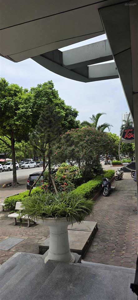 Bán căn góc thoáng tòa n06b2 khu đtm dịch vọng, đường thành thái, 114m2, 3 phòng ngủ, giá 12 tỷ tl