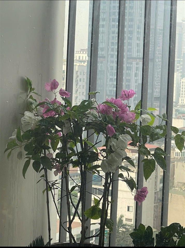 Bán căn hộ góc cc1 hà đô parkside 3 phòng ngủ, view công viên cầu giấy, đsq mỹ, nhà đẹp 9,3 tỷ
