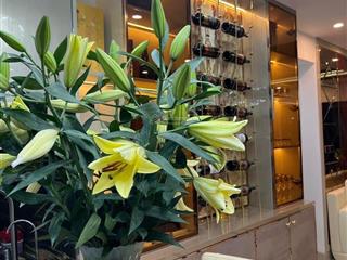 Bán căn hộ 165 thái hà, đống đa dt 85m2, 2pn full ở ngay