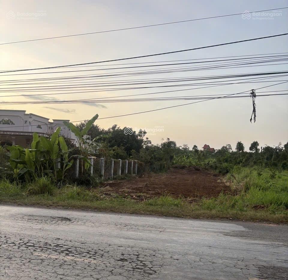 Cần bán gấp đất mặt tiền đường đt765  727m²  có thổ cư  giá tốt