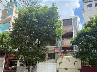 Bán nhà lê thị hồng gấm quận 1, 4x19m, 5 tầng, giá 60 tỷ