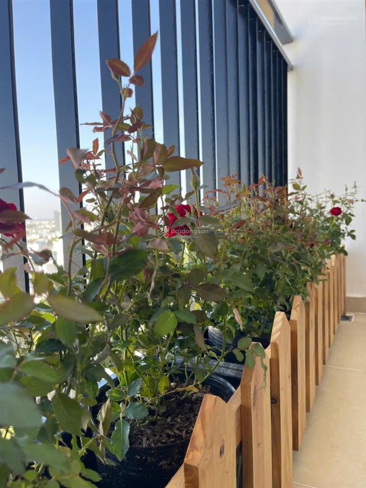 Bán căn góc chung cư gia phát đường lê đức thọ, p.17, gò vấp, dt 74m, 2pn, 2wc, full nt