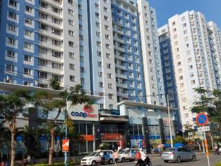 Bán căn hộ diện tích rộng 140m2, 7,7 tỷ, tại chung cư đất phương nam, bình thạnh, tp.hcm