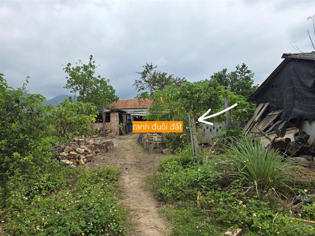 Cần bán lô đất thổ cư ngay khu sinh hoạt cộng đồng đồng sim, xã tây xuân, tây sơn, bình định