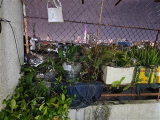 Bán chung cư bắc đinh bộ lĩnh, q bình thạnh