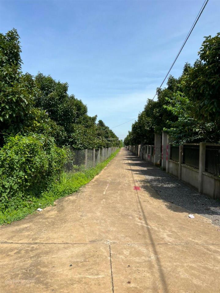 Cần bán đất 3 mặt tiền tại xã bàu hàm 2, huyện thống nhất, tỉnh, đồng nai, dtsd 26.000m2