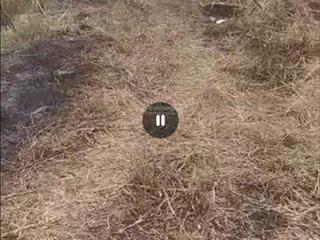 Bán 1700m2 đất mặt tiền có 200m2 thổ cư ngang 14m dài 128m xe 9 chỗ vào nhà cách đường chính 70m