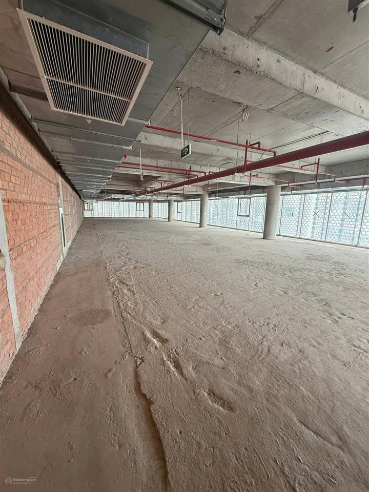 Cho thuê shophouse the sóng, thi sách, thắng tam, vũng tàu, 80 triệu/th, 1145 m2