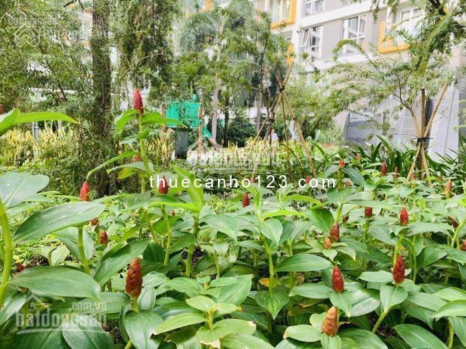 Cho thuê căn hộ wilton tower, lầu cao view đẹp, 3 phòng ngủ, nội thất cao cấp giá 25 triệu/tháng