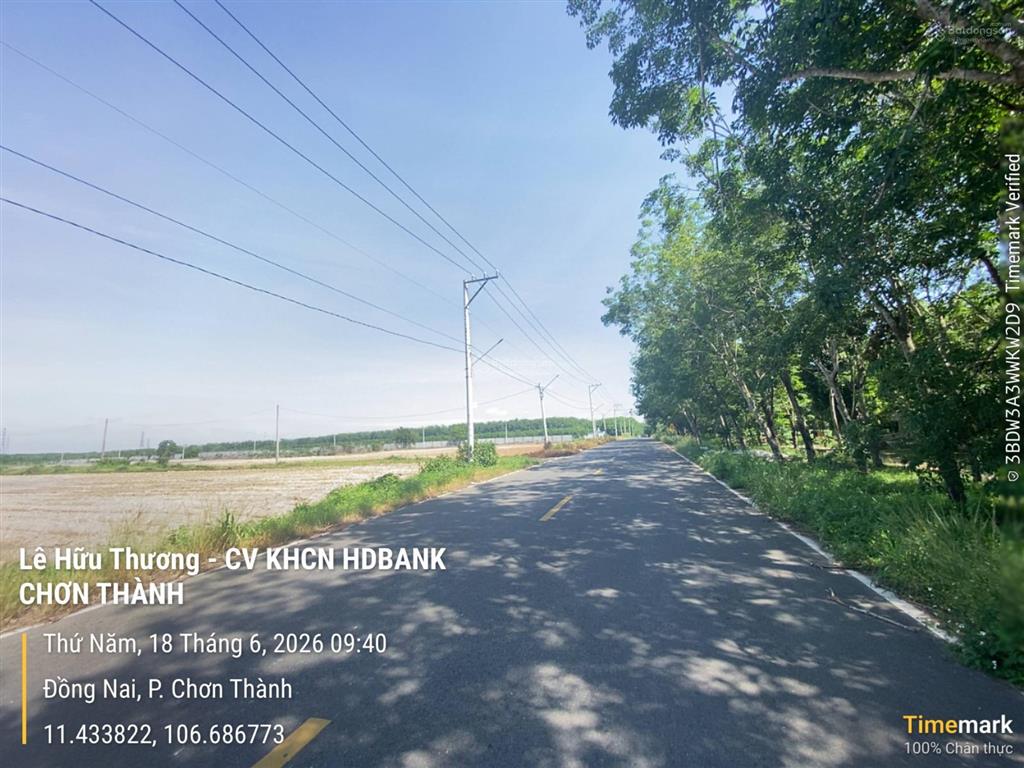 Bán đất tặng 2150 cây cao su 10 năm tuổi. dt 42600m2. giá 20 tỷ tl