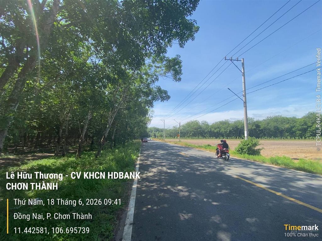 Bán đất tặng 2150 cây cao su 10 năm tuổi. dt 42600m2. giá 20 tỷ tl