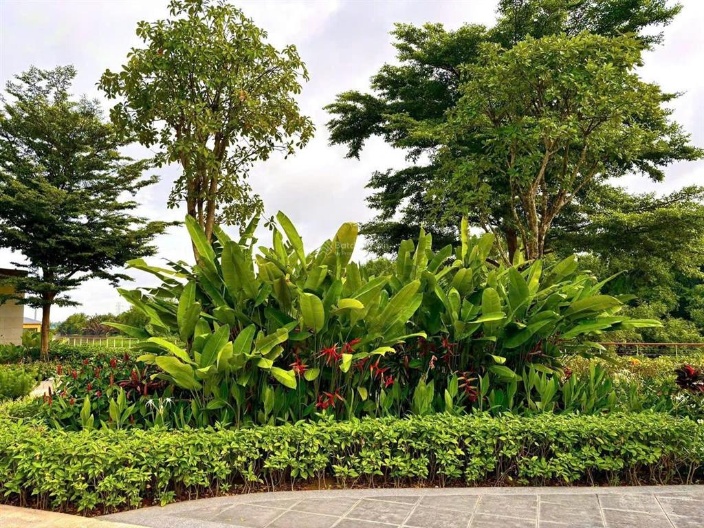 Biệt thự vườn khu compound. dt 6x19m. nhà 3 mặt sông. chỉ trả 20% nhận nhà.  0902.746,319