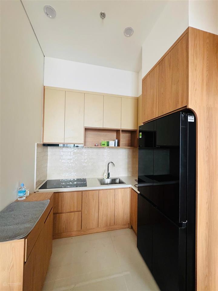 Cho thuê căn hộ 1pn riêng biệt, 20 triệu vnd, 58m2 tại the infiniti riviera point, quận 7, tp.hcm