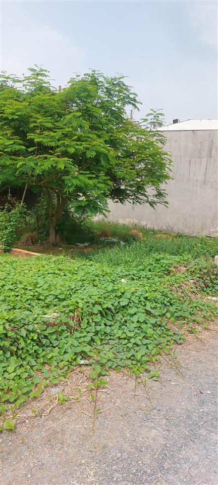 Chính chủ cần bán gấp lô đất 100m odt vĩnh lộc gần lại hùng cường, quách điêu