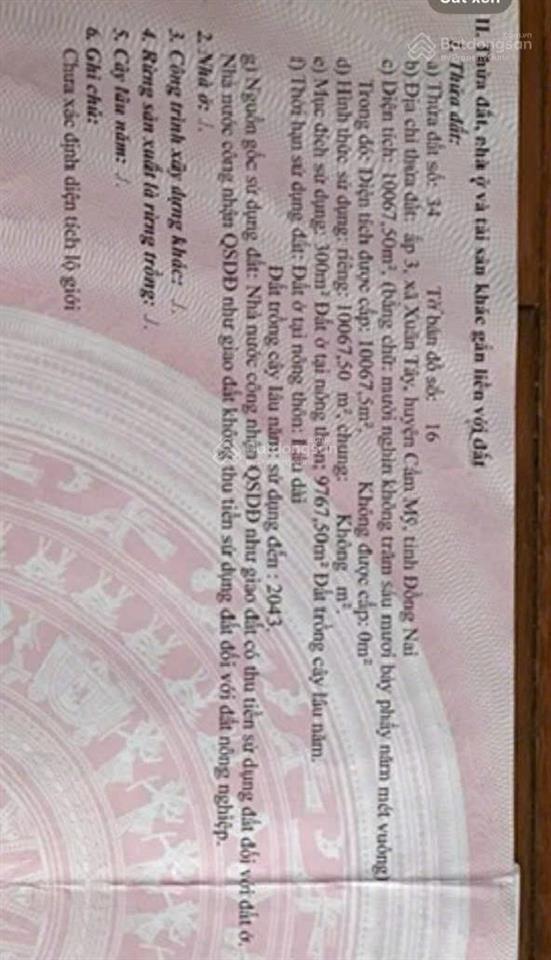 Cần bán gấp lô đất 10.000m² mặt tiền xuân phúxuân tây gần ubnd xã xuân tây.