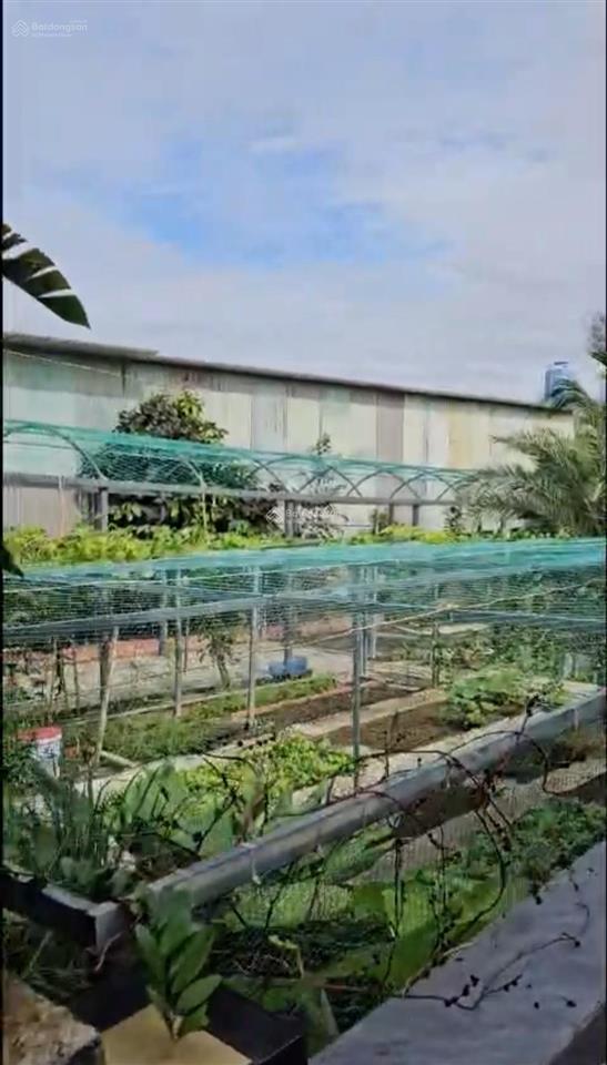 Cần bán gấp khu biệt thự nghỉ dưỡng đang vận hành kd gần chợ 30 hàm thuận