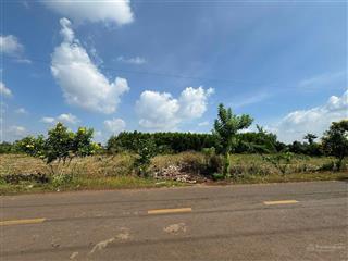 Bán đất tại xã lâm san, 6 tỷ, 1211m2, giá ưu đãi bao đẹp