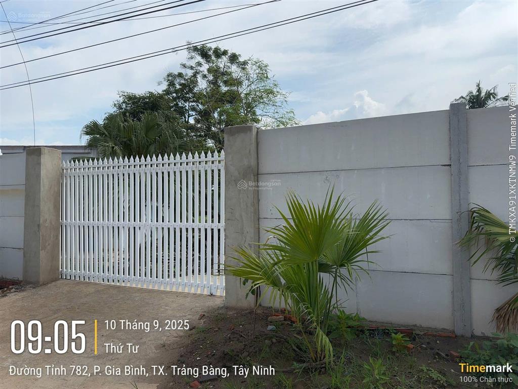 Bán gấp đất gia lộc, mt đường đt 782 ngay trung tâm phường gia lộc, thị xã trảng bàng, tây ninh