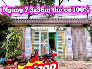 Siêu rẻ! bán đất tặng biệt thự gần cầu suối mau, p. hố nai,7,3x36 chỉ 4,2 tỷ