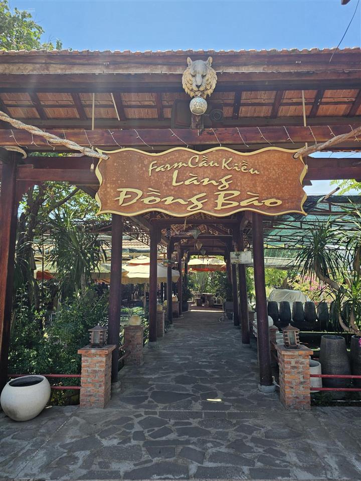 65.000 m2, mặt tiền ql 55, giáp suối, cầu cô kiều, phù hợp làm farm, khu du lịch nghỉ dưỡng