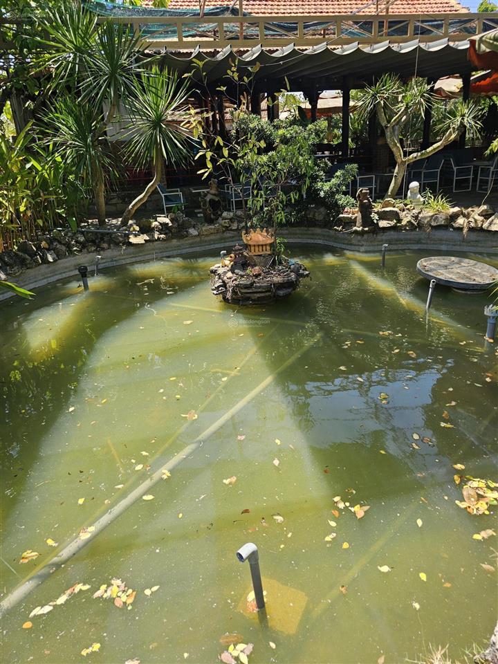 65.000 m2, mặt tiền ql 55, giáp suối, cầu cô kiều, phù hợp làm farm, khu du lịch nghỉ dưỡng