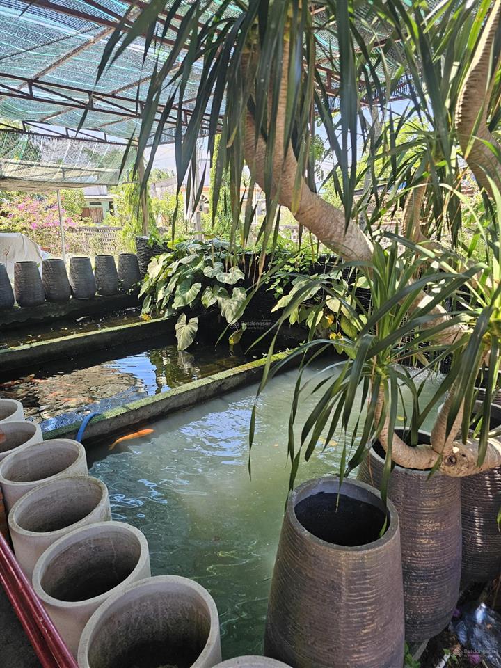 65.000 m2, mặt tiền ql 55, giáp suối, cầu cô kiều, phù hợp làm farm, khu du lịch nghỉ dưỡng